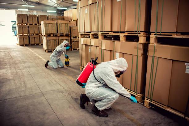 Best Best Pest Control Companies  in Ingram, TX