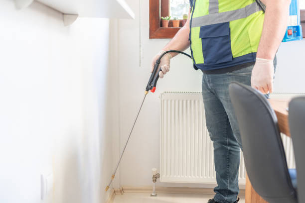 Best Flea Control Services  in Ingram, TX